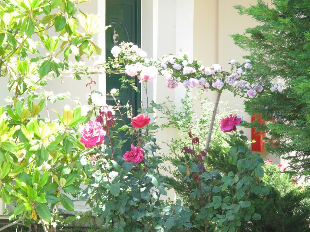 Liogerma Apartments Tsoukaládhes Dış mekan fotoğraf